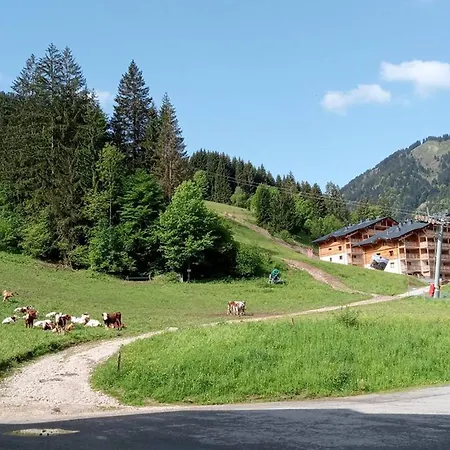 Apartamento Location 2 Pieces 4 Pers, Ascenseur, Vue Montagne, Parking, St Jean D'aulps - Fr-1-573-40 *